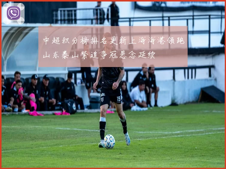 中超积分榜排名更新上海海港领跑山东泰山紧追争冠悬念延续